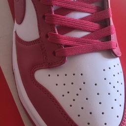 Nike Dunk Low SP inspired trainers, size 6, brand new.