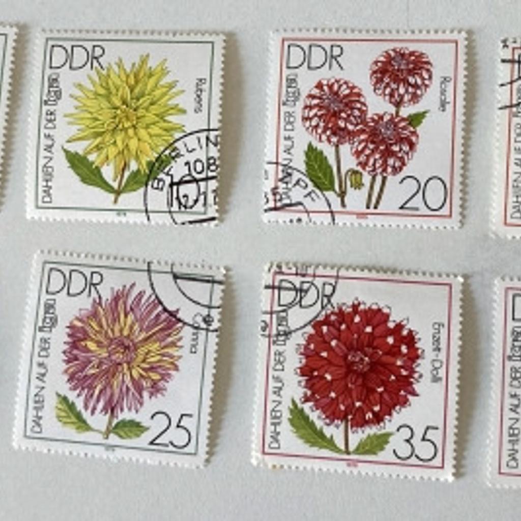 Zum Verkauf stehen DDR – Briefmarken Dahlien auf der IGA. Der Verkauf erfolgt unter Ausschluss jeglicher Gewährleistung Privatverkauf keine Rücknahme, keine Garantie und kein Umtausch. Für den Versand sind 2,10 € extra zu bezahlen.