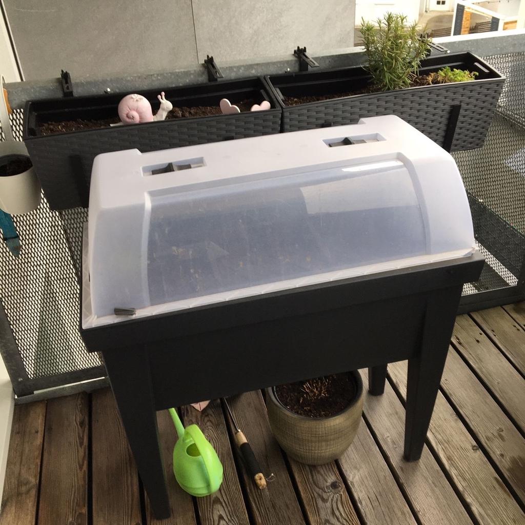 Gemüse Box für Balkon in 6850 Stadt Dornbirn für € 12,00 zum Verkauf