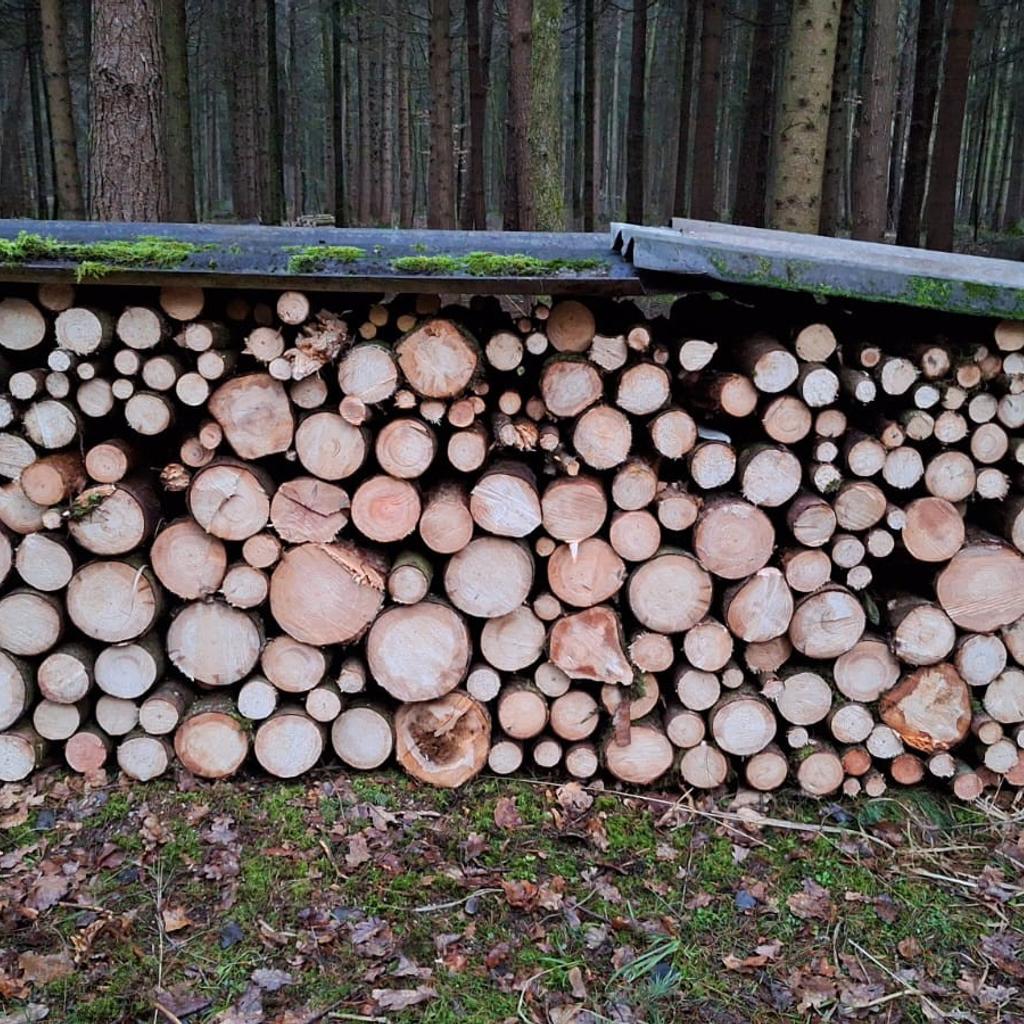 Brennholz
Fichte/Kiefer
1m lang
Durchmesser von 4-25cm
Ca.10RM
Gute Zufahrt
Abzuholen in Burgkirchen
85€ pro Raummeter