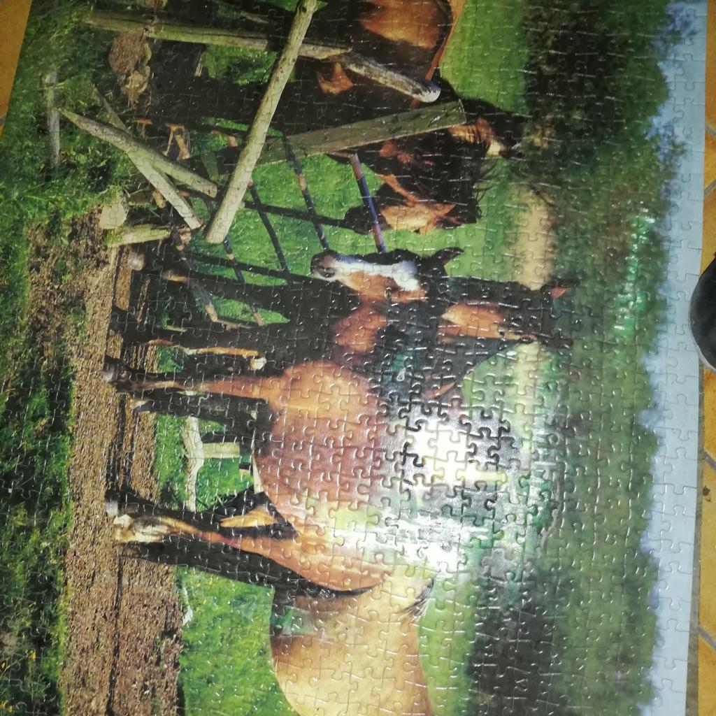 Gebe diese 2 Pferde Puzzles ab
Bei den ersten Bild ist eine hellere Stelle beim zweiten Bild fehlen ein paar Teile am Rand siehe am Bild
Daher auch zum verschenken