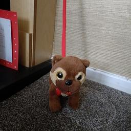 dog on a lead. collect from Tipton DY4