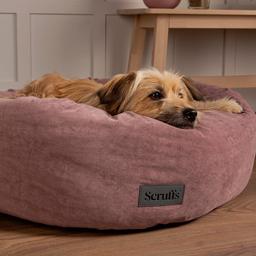 Anti anxiety donut bed by scruffs. Only used for a couple of months, professionally cleaned. Fits a medium sized dog perfectly such as Frenchies, spaniels, staffies, Cocker poos etc… They all love it. Great tough material for humpers and chewers. Machine washable!
Really nice dusty pink colour.
Only selling because my foster dog found a forever home 🥲 and my dog is too big.

*RRP £55*