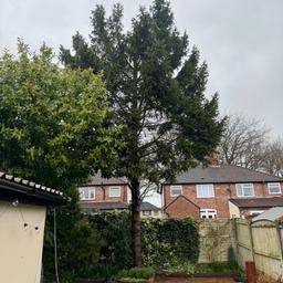 - Tree Surgery

- Garden clearance

- Stump grinding

- Hedge trimming

- Garden Tidy ups

- Green waste removed

- Trees Cut, pruned, crowned and taken down

- Weed killing

- Domestic and commercial

- No job too big or small

- Liverpool based Gardner

- Fully insured and Public liability

- Domestic and commercial lawn mowing services

- Commercial site clean ups and maintenance

Find us on Instagram @cstreegardenservcies