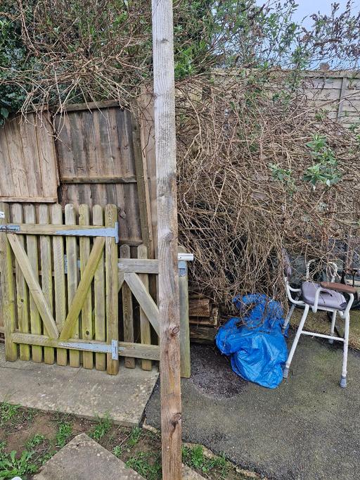 Buy & Sell East Sussex Rother - Photos for lumber