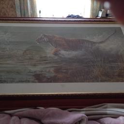 large tiger picture by Andrew ellis
l haven't got the room on my walls so l can't keep it as it was my late dad's
collection only cash on collection please
length 38 inches
height 23.5 inches
any questions please ask me