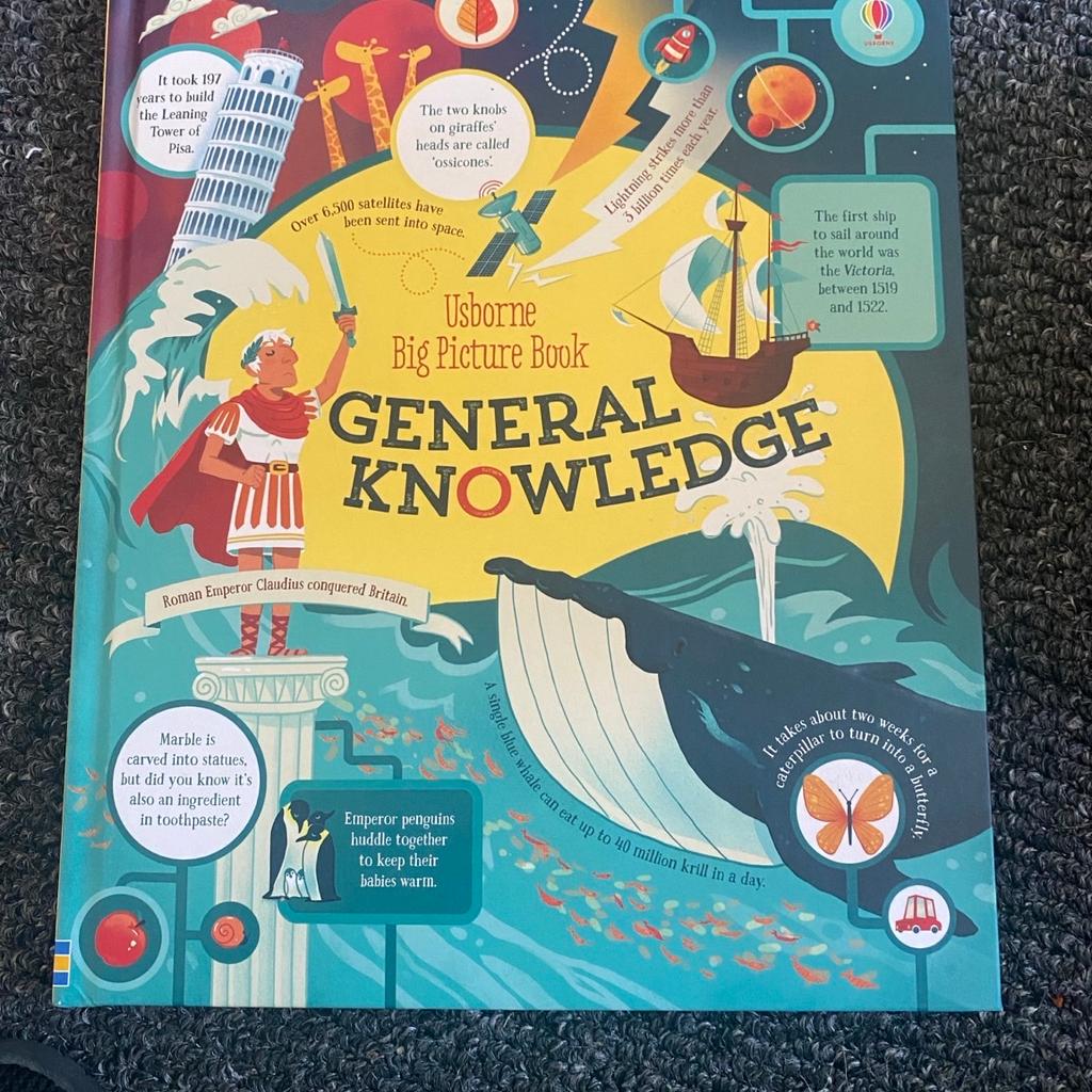 Big Picture Book of General Knowledge

Hardcover. Condition: New. Annie Carbo (illustrator). 1st Edition. When were the first fireworks made? How many satellites have been sent into space? And what does the word kimono mean? Find out the answers to these questions and more in this stunningly illustrated book, guaranteed to keep fact-loving, question-asking children entertained for hours on end

Brand new
Available for collection Blackpool or postage