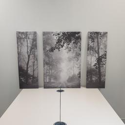 Black and White canvas of trees in a forest. 3 frames
Size: 
2 x 30cm x 90cm
1 x 60cm x 90cm
