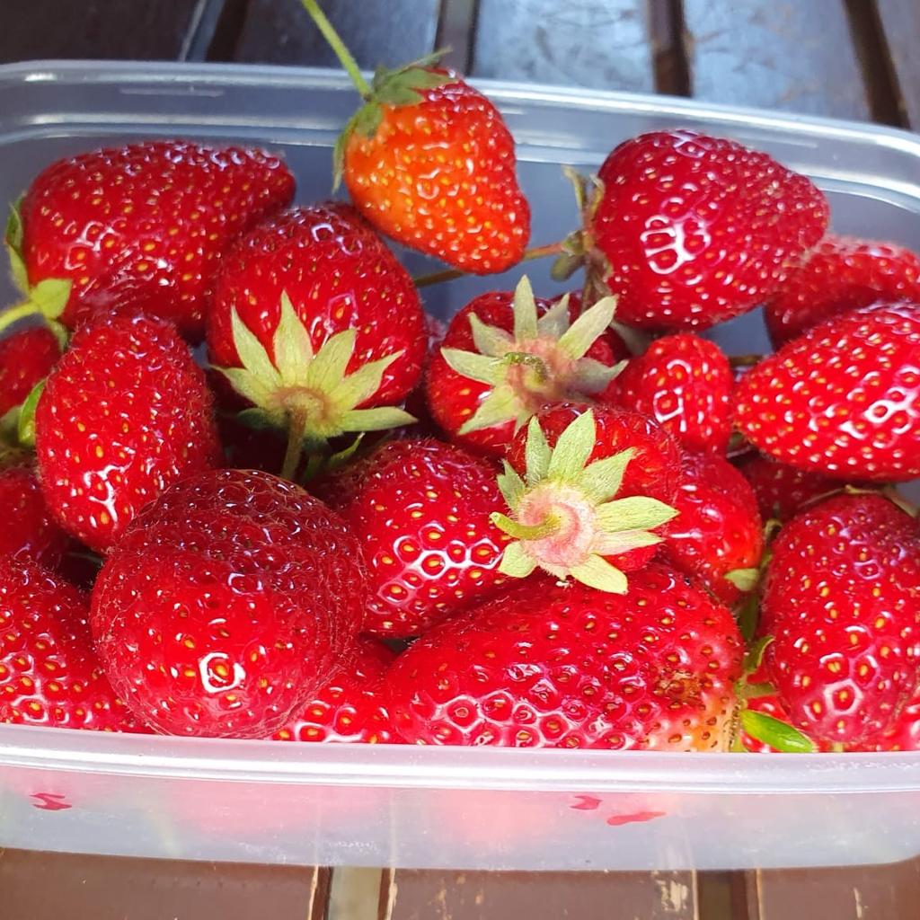 this is tub from last year.with sum strawberry we had off them.nice taste.when they come in summer.