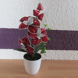 Verkaufe eine Orchidee wo die Blüten aus Nespressokapseln gefertigt sind, Höhe ca 28 cm
Farbe Rot/Weiß

Versand zu Lasten des Käufers möglich - 4,20€
Nichtraucherhaushalt
Privatverkauf - keine Garantie - kein Umtausch