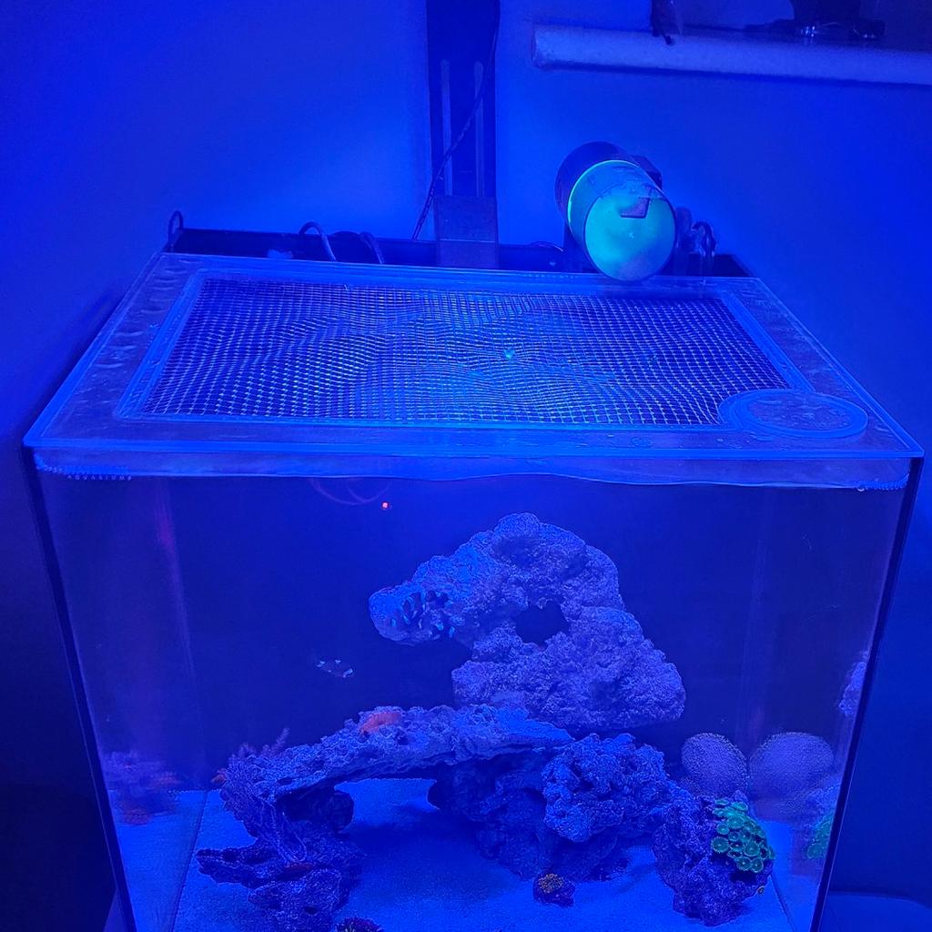 waterbox cube 20 reeftop lid return pump heater nicrew hyperreef led with nicrew timer collection Middlesbrough