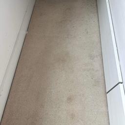 We offer a professional carpet cleaning with high quality products
