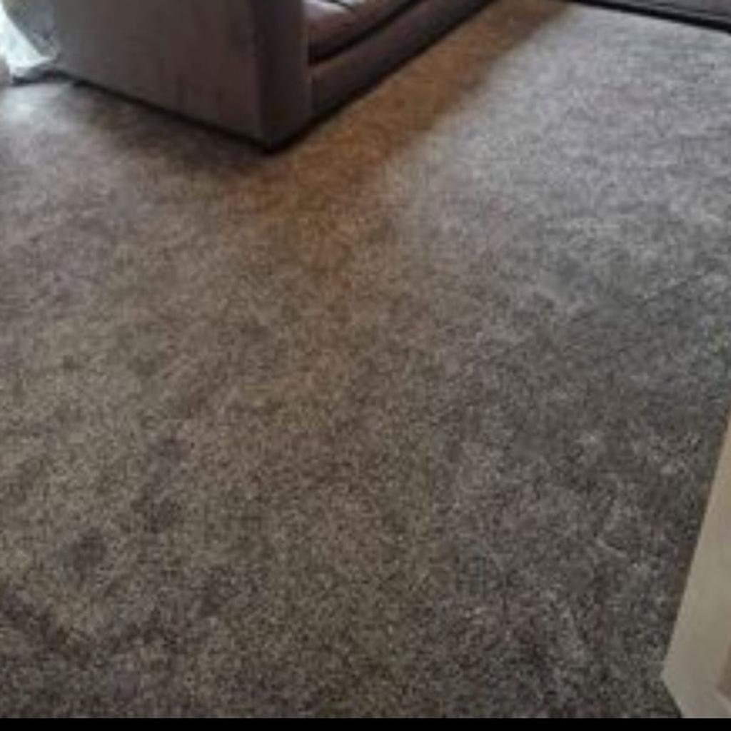 ONLY 8 WEEKS OLD absolute bargain
large grey carpet 5.2 meters long x 3.2 meters wide
bought 8 weeks ago from Balfour carpets for a private rent but had to move so no longer needed cost £370 new
no pets no smokers and no stains on it
collection ONLY and cash on collection , NO BAC or bank transfers
collection from Hackenthorpe ,Sheffield 12