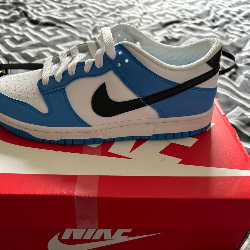 Have a pair of Nike dunks in size 5 brand new