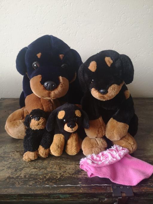 Buy & Sell Worcestershire Bromsgrove - Photos for Bundle Soft Toy Dogs