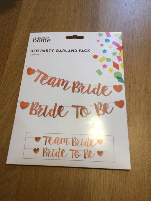 Buy & Sell Merseyside Liverpool - Photos for Hen Party Garland Pack 2 Pieces New