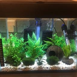 Fish Tank no accessories

Tank is leaking so would need to be re-sealed or ideal to use as a bio plant terrarium

Height : 31cm

Length : 36cm

Depth : 23 cm

Collection from Donnington TF2