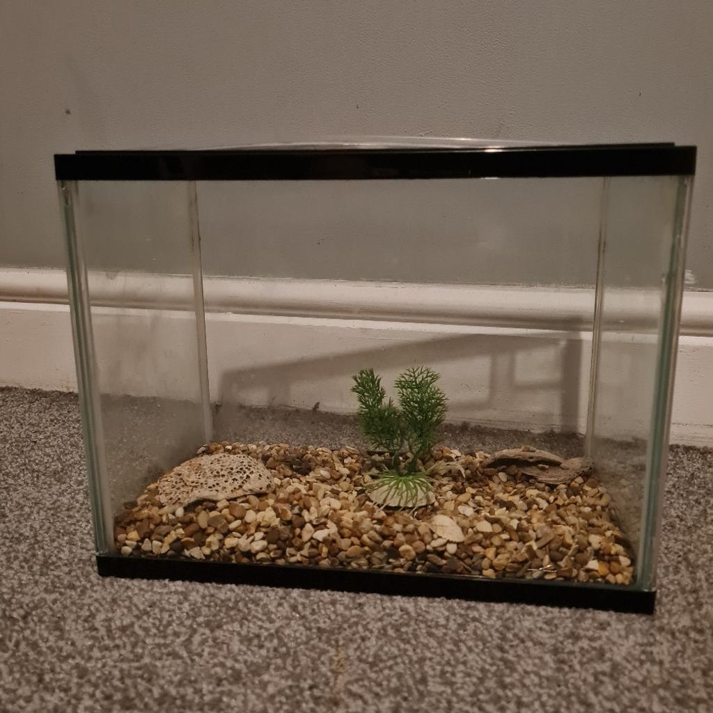 Plastic fish tank for sale. Measures: 32cm across x 19cm deep x 24cm tall.
Included: stons, small plant, heater, filter (with no handle) and fish net.