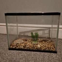 Fish tank for sale. Measures: 32cm across x 19cm deep x 24cm tall.
Included: stons, small plant, heater and fish net.