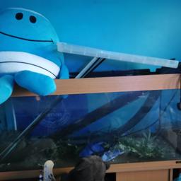 hi i have a 4ft fish tank for sale i  selling it because i need the space and it just needs new bulibs for the light and it is all water fit and i need it gone asap and cash only 150