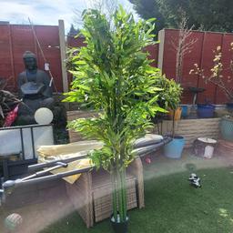 brand new in box  .bamboo artificial  plant  about  6ft .collection Oldbury brandhall b68. no holding. cash on collection please. no postage. scammers will be reported