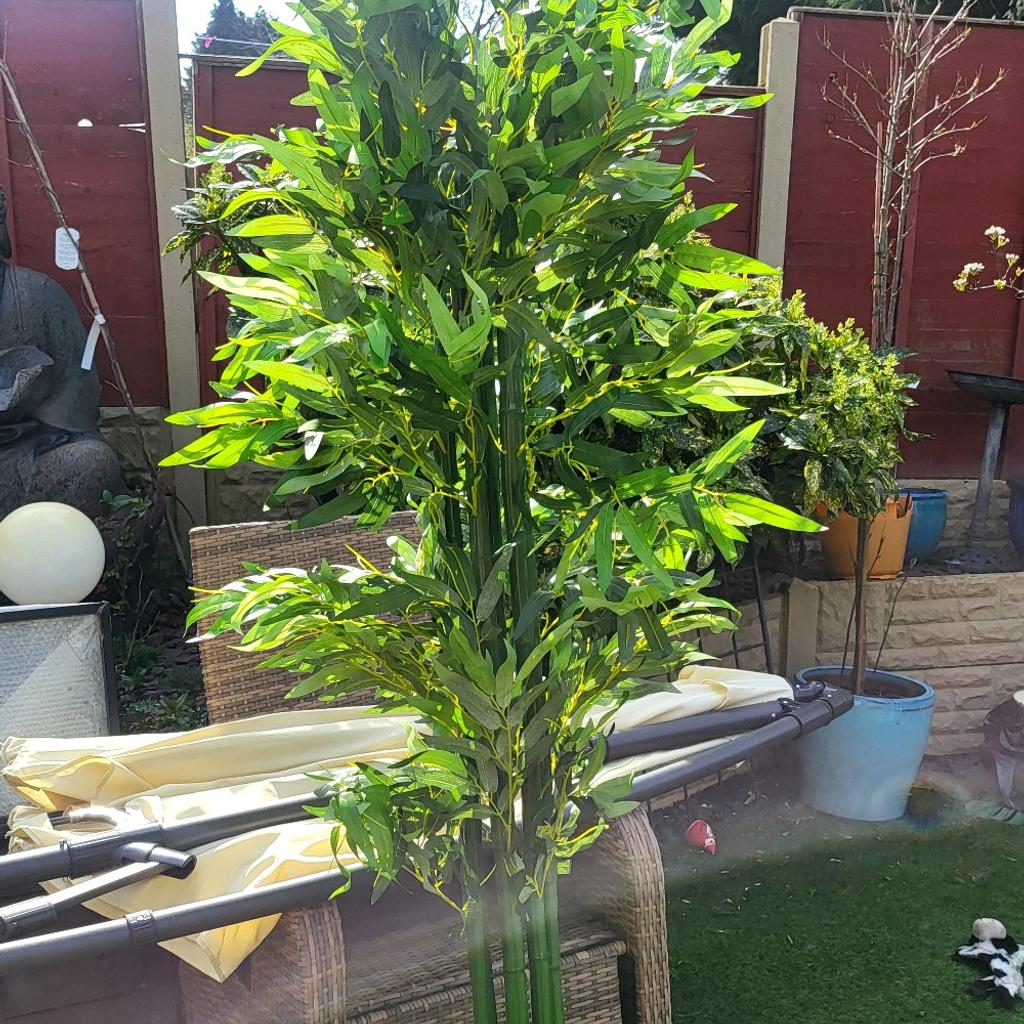 brand new in box .bamboo artificial plant about 6ft .collection Oldbury brandhall b68. no holding. cash on collection please. no postage. scammers will be reported