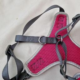 A harness for really small dogs... No offers please!