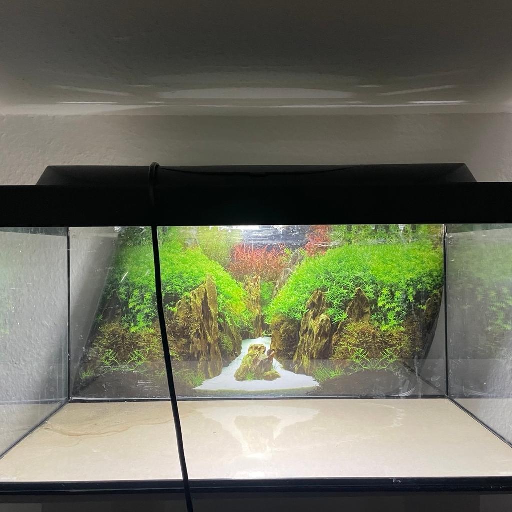 Als Osterspecial gebe ich 4 Portionen Wasserpflanzen GRATIS dazu. Gilt nur an den Feiertagen. (:

LED - Tetra Aquarium (54 Liter) + Unterschrank

LED - Tetra Aquarium 60x30x30 (54 Liter) mit Abdeckung inklusive LED Beleuchtung und Unterschrank (weiß) nur komplett abzugeben.

Zubehör separat auf Anfrage.

Viele liebe Grüße!