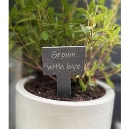Garden Plant Tag


Slate garden plant tag, perfect for labeling your favorite herbs and plants or marking a sentimental spot. Size: H13 x W6 x D0.5cm. Personalise with two lines up to a maximum of 12 characters per line.

Brand new