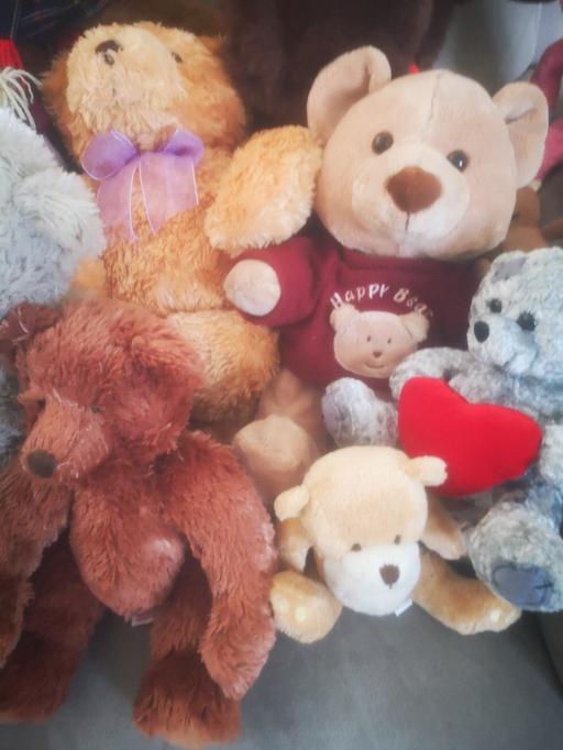 Buy & Sell Essex Basildon - Photos for teddies & other soft toys