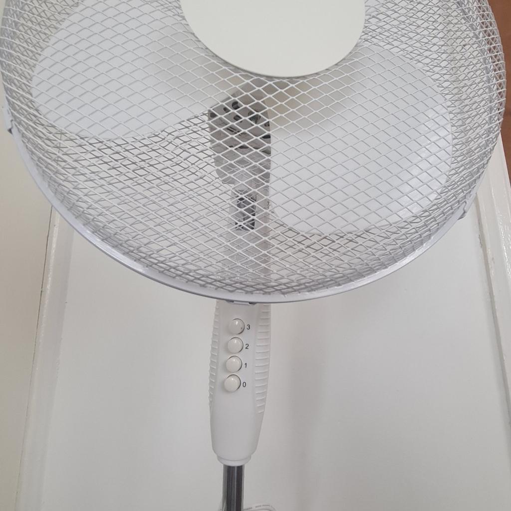 16" rotating white fan

NO SCAMMERS with emails 🚫
Original price £39.99
Immaculate condition. NO damage.
UK daytime collection only.
Cash payment. No paypal.
No hand 🗳delivery.
Pet, smoke & dirt free house.
Msg only. STRICTLY N❌ numbers.
No returns, refunds, swaps or exchanges❕
Thanks : )