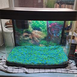 Love fish panorama 40 litre tank
two led lights white/blue
two internal filters
allpond solutions dual outlet air pump with air stone and non return valve.
41.4 x 48.8 x 26.8cm
Great condition
£30 no offers