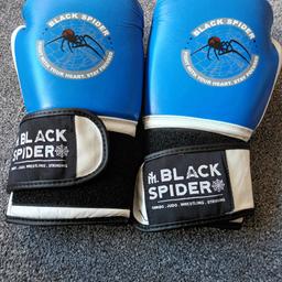 boxing gloves good for training at home