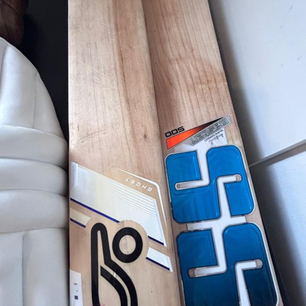 PROFESSIONAL KIT FOR ASPIRING PLAYERS PRICE VARIES DEPENDENT ON CHOICE OF BATS