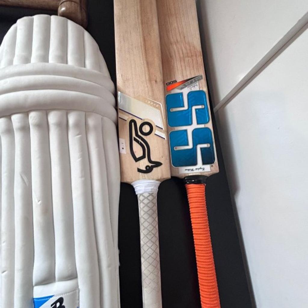 PROFESSIONAL KIT FOR ASPIRING PLAYERS PRICE VARIES DEPENDENT ON CHOICE OF BATS