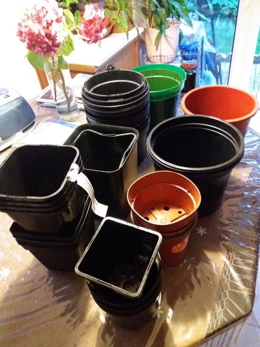 Buy & Sell East London Manor Park - East London - Photos for Plant Pots