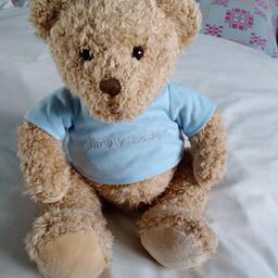 Teddy Simply the Best   on its T shirt  good condition buyer collect