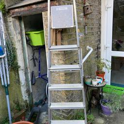 # Startfresh.  Beldray 7ft ladder in okay condition. Buyer collects.
