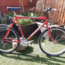 Raleigh firefly 23 inch mountain bike, 5 gears, unwanted present!! Stored in garage