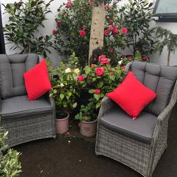 Pair of new garden chairs/conservatory with removal washable covers. Cushions store under chairs for convince and saves space. Excellent quality good strong and sturdy good size and very comfortable.
Cost 450.00 will accept 300.00 as like new