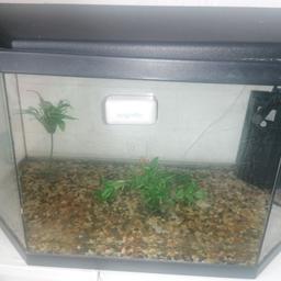 fish tank for sale and water filter cash on collection only please