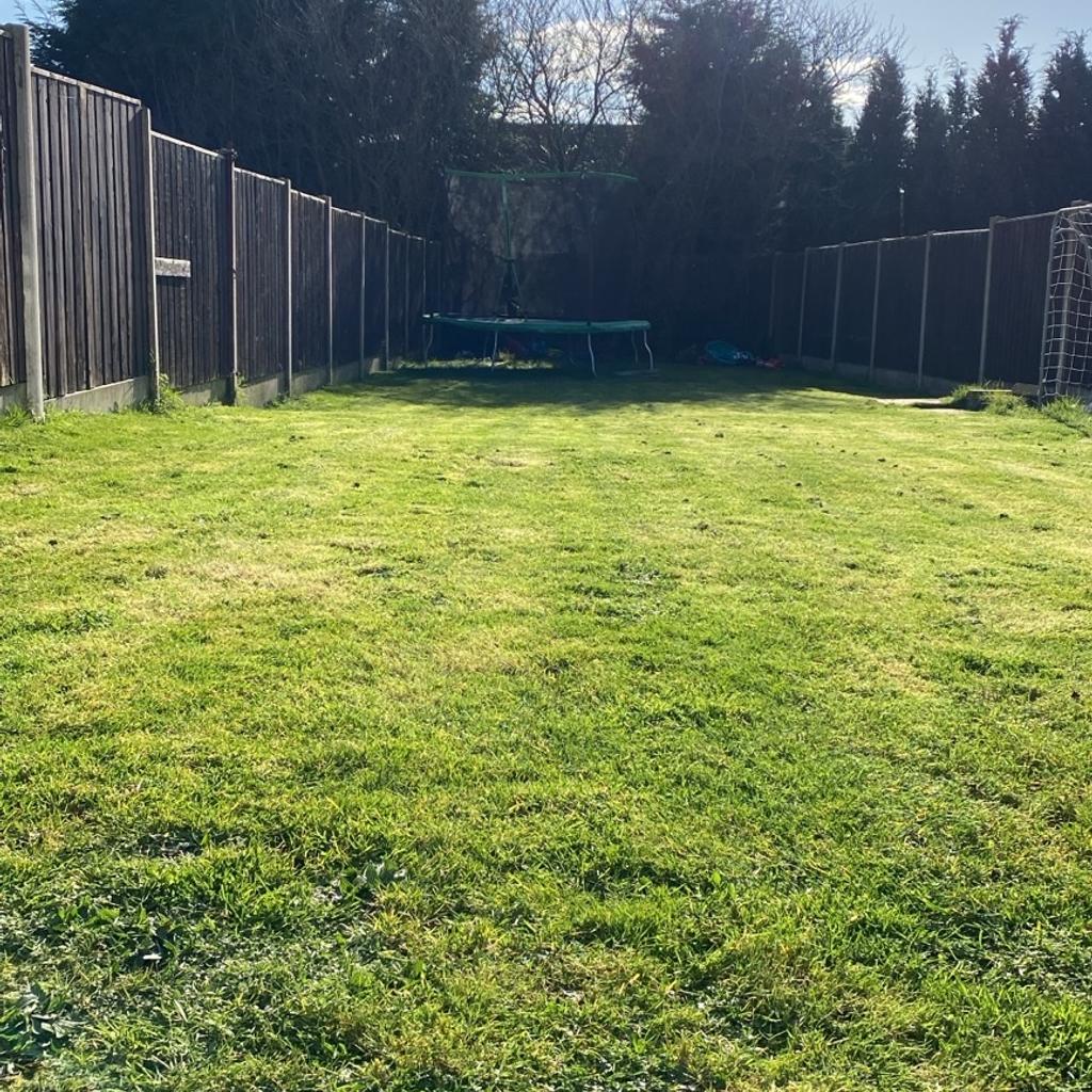 Gardening services, lawn mowing, hedge trimming and edges strimmed general tidy ready for summer prices start from £20 + depending on garden and services you require