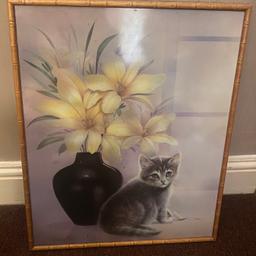 Cat picture in a frame needs a new home, good condition.

Length 53cm
Width 42.5cm

Collection available from W10 or TW7, offers considered and bulk order discounts alongside other items. 
Will be dispatched via tracked delivery please provide postcode to check accurate costing before purchasing.