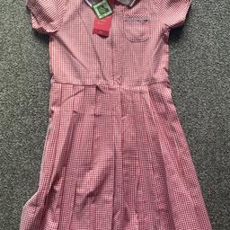 Brand New With Tags 
Girls School Red Gingham Dress
Age 9 (TU)
Collection from Sedgley 
Advertised elsewhere