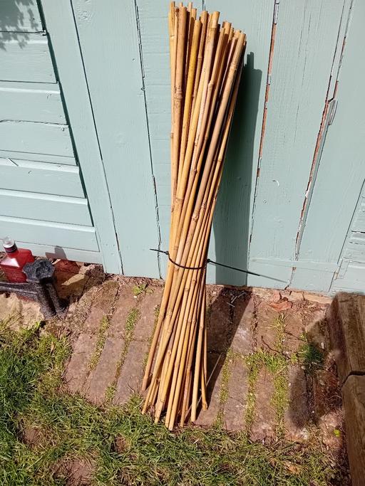 Buy & Sell Kent Canterbury - Photos for 50 x 3' garden canes