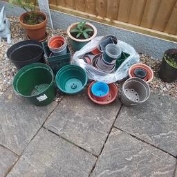 large collection of plastic pots
all sizes
PERFECT FOR SOMEONE WITH ALLOTMENT OR GREENHOUSE
BARGAIN £1.
COLLECTION FROM FRONT DOOR
