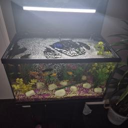 60 lt fish tank for sale good condition come with interpet corner filter new led light gravel some plants and stones collect only