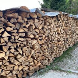 Buchenbrennholz trocken pro m3 ofenfertig