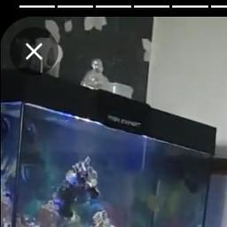 hi fish tank and stand for sale 30 inch long 17 high 17wide nice fish tank comes with filter light pump sand lots of rock Tipton