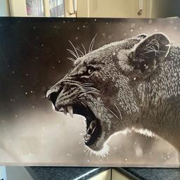 LARGE ANIMAL PRINT CANVAS PICTURE WITH SPARKLING GLITTER ON HEIGHT 23.5” LENGTH 35.5” BEAUTIFUL PICTURE LITTLE TATTY ON CORNERS
